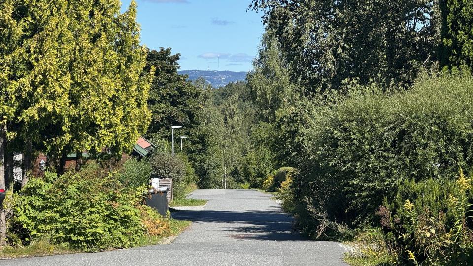 Lenke til artikkel: Alle har ansvar for trafikksikkerhet –  klipp hekken før skolestart