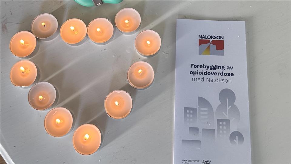 Lenke til artikkel: En dag for å minnes, bry seg og redde liv
