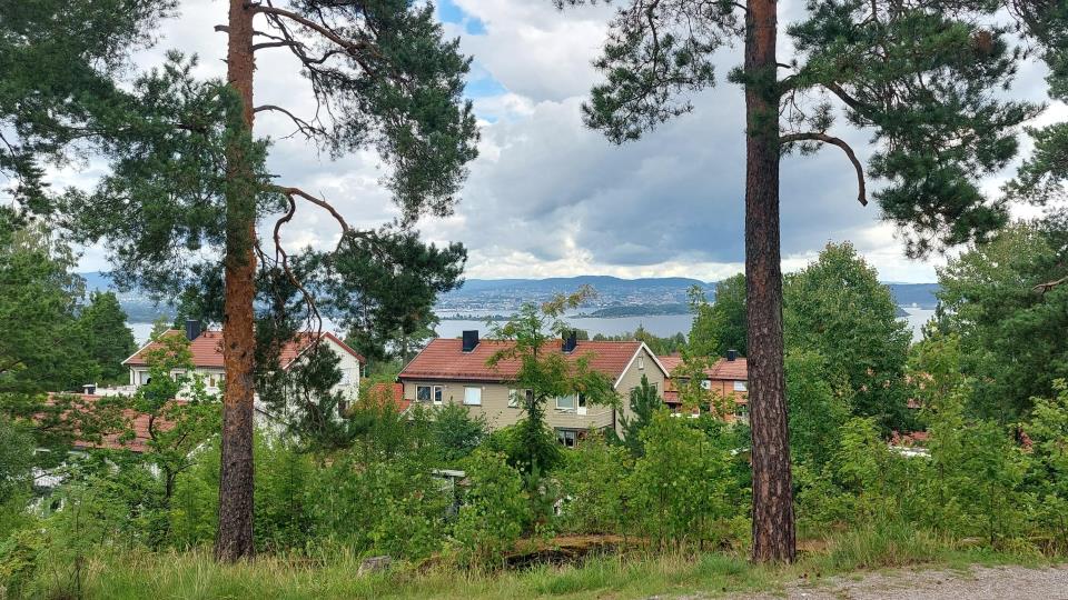 Lenke til artikkel: Varsel om høring og offentlig ettersyn av Boligpolitisk plan 