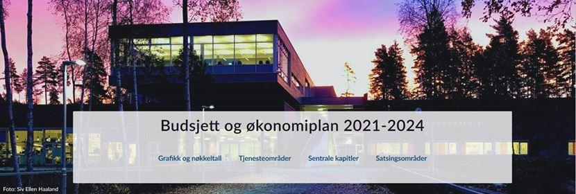Klikk for stort bilde